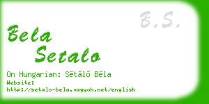 bela setalo business card